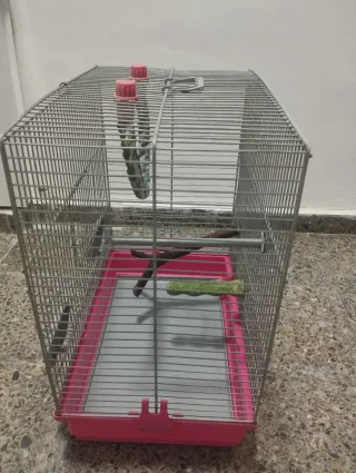 Jaula para pájaros periquitos agapornis ninfas