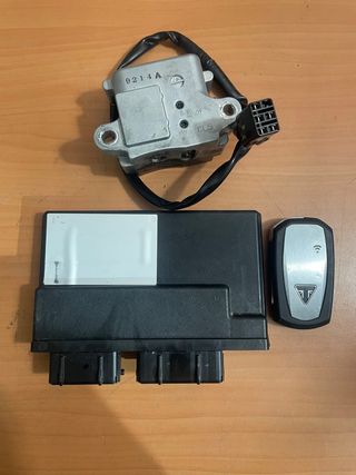 Electrónica Triumph Tiger 1200 (17-20)