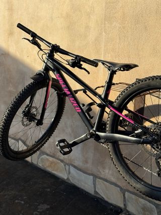 Bicicleta Specialized Riprock 24