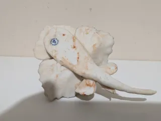 Flor Rosa Porcelana Capodimonte Italia