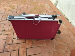 Tumbona plegable roja y plateada