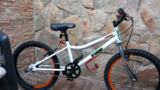 Bicicleta de Montaña 20"
