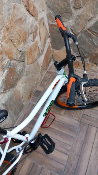 Bicicleta de Montaña 20"