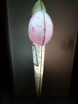 Cono de helado gigante luminoso Carte D’Or 175 cm”