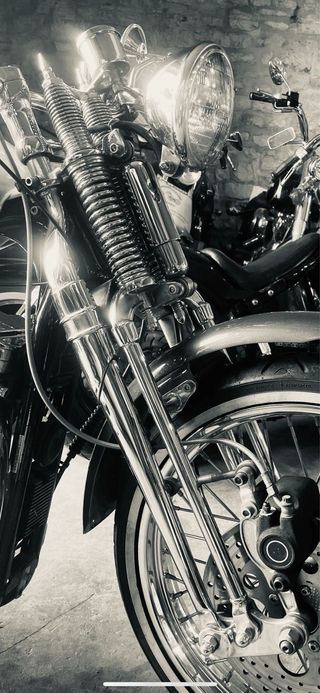 Horquilla Harley Springer Cromada