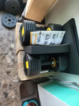 Mancuernas ajustables 12kg