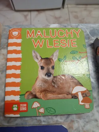 Lote de 15 libros infantiles en polaco