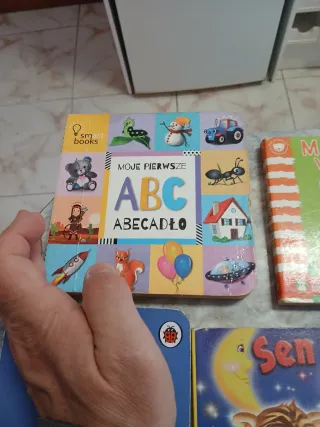 Lote de 15 libros infantiles en polaco