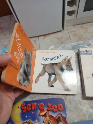 Lote de 15 libros infantiles en polaco