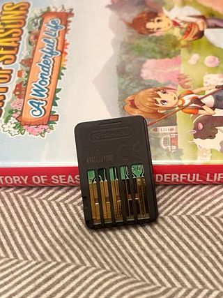 Story of Seasons A Wonderful Life Nintendo Switch
