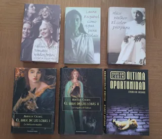 Lote Libros Novela