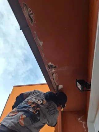 Servicios de pintura profesional