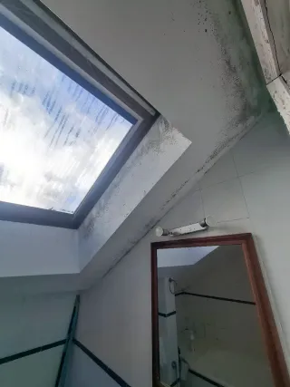 Servicios de pintura profesional