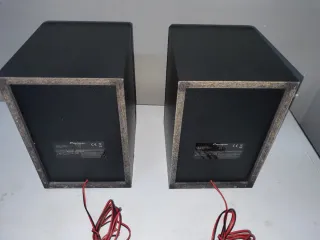 Pareja Altavoces Pioneer