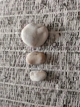 3 Piedras Decoradas: Mariquita, Perro y Pingüino