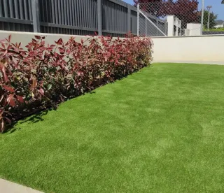 JARDINERO ECONÓMICO