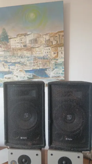 Altavoces pasivos Skytec negros