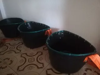 3 Capazos para recolección de aceituna