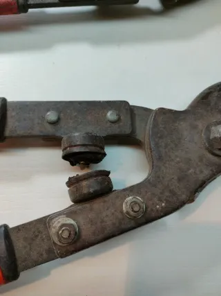 Lote herramientas poda: tijeras y serrucho