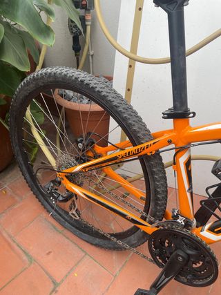 Bicicleta de Montaña Specialized Naranja