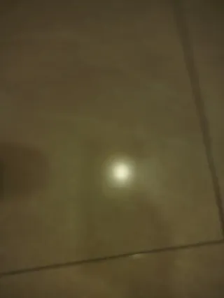 Zapatos de ante azul marino