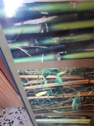 Cuadro Decorativo Bambú y Madera