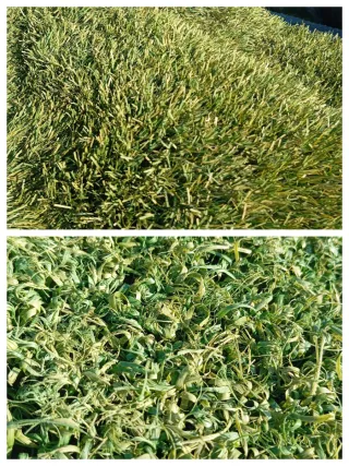 Césped artificial reciclado