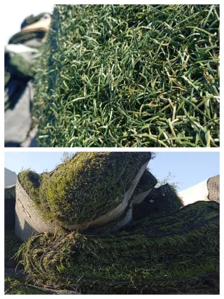 Césped artificial reciclado