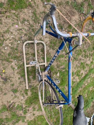 Bici Orbea carretera + rulo Olmo antiguo