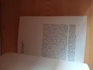 Los anales Franco-Alemanes