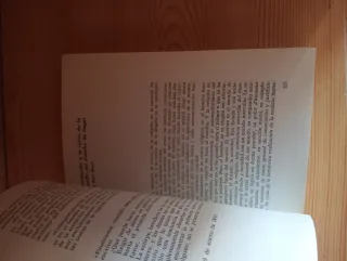 Los anales Franco-Alemanes