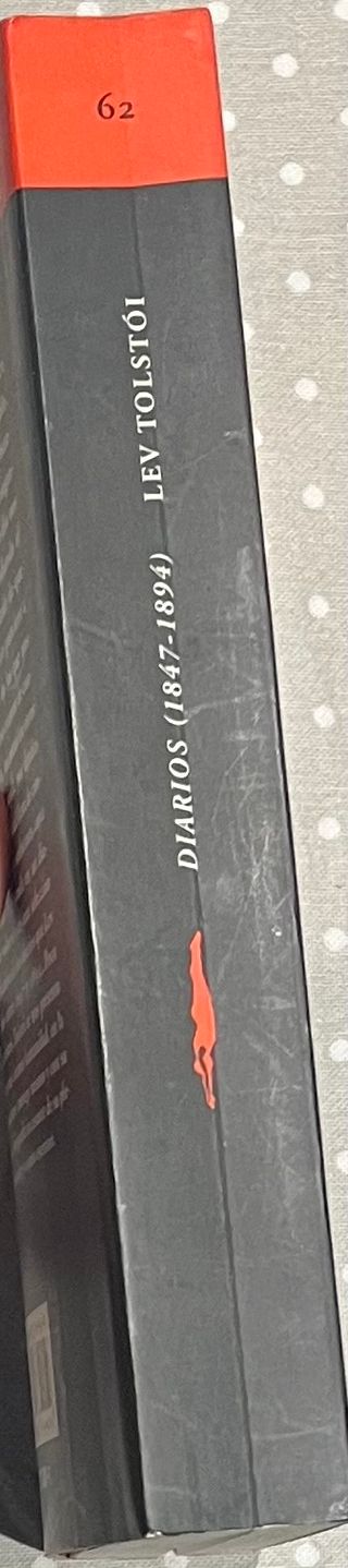 Libro Diarios 1847-1894 tapa blanda español