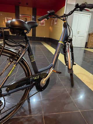 Bicicleta Eléctrica Orus E-8000