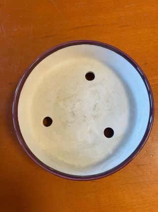 Maceta Bonsái Cerámica Morada y Blanca