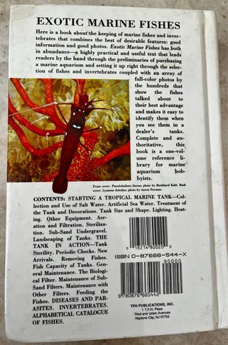 peces exóticos marinos