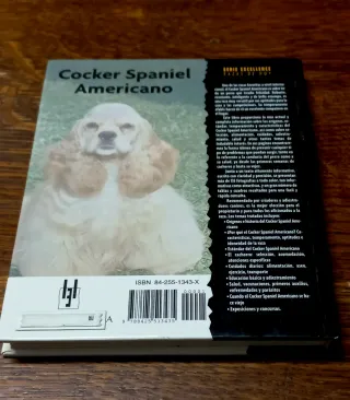 Cocker Spaniel Americano.