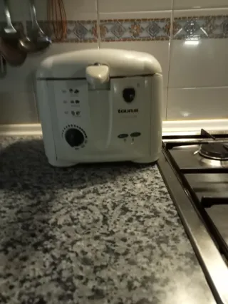 Freidora blanca