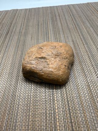 Madera Petrificada (Xilópalo) - Fósil Natural