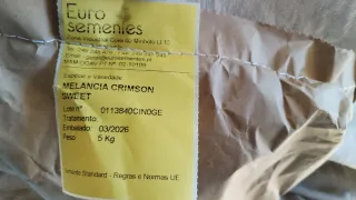 Semilla Sandía Crimson Sweet - 5 Kg