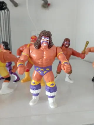 Figuras WWF Hasbro Lote