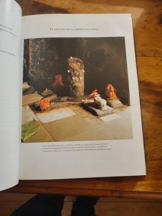 Las Medicinas Orientales