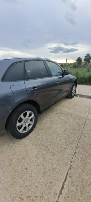 Audi Q5 2010