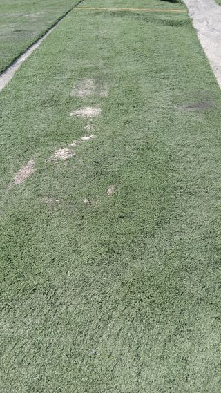 Césped artificial reciclado