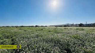 Terreno en venta en Zona Industrial en Prat de Llobregat, El