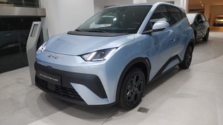 BYD DOLPHIN SURF COMFORT 156 CV