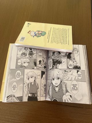 El Ratón De Biblioteca