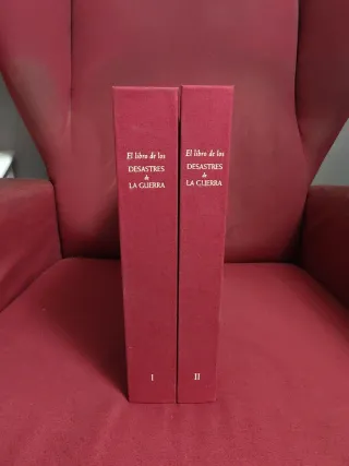 El libro de los desastres de la guerra. Goya.