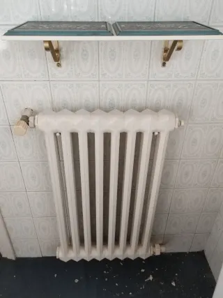 6 radiadores  de hierro fundido de diferentes medi