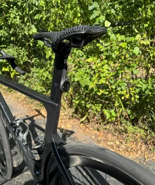 Pedio Rafa SP0077 3D