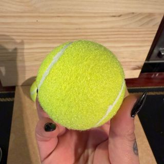 Lote 5 Pelotas Tenis / Padel HEAD